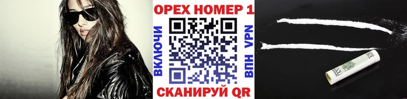 где можно купить наркотик  Порхов  КОКАИН Эквадор 
